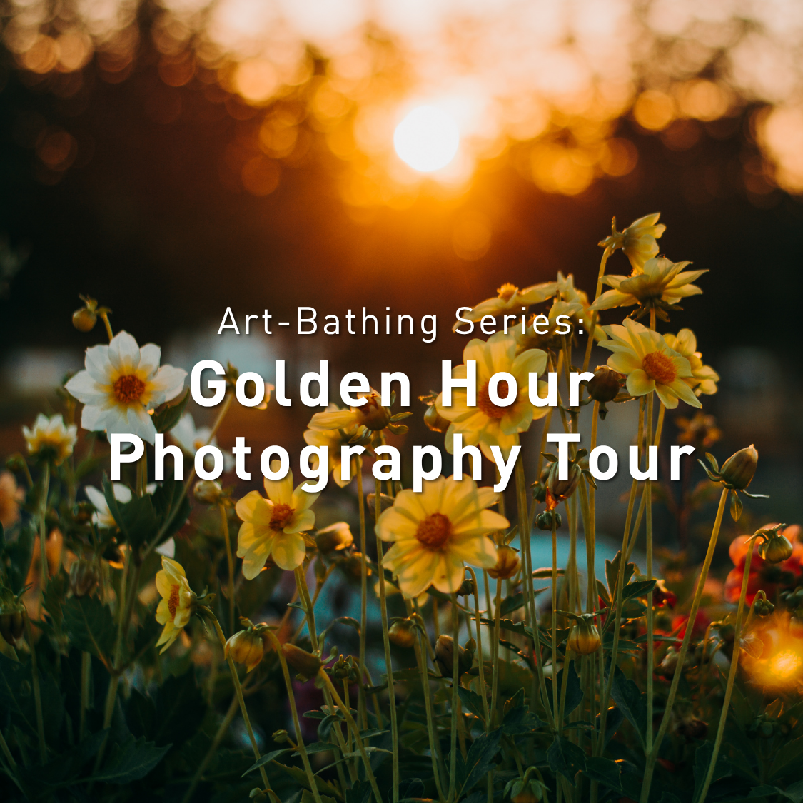 Golden Hour Photography Tour - logo